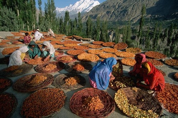 india-pakistan