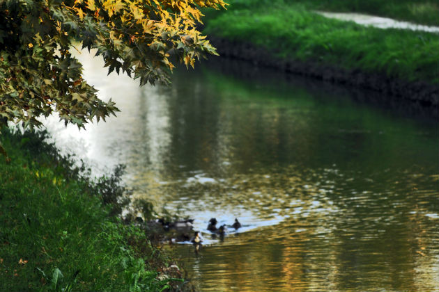 kalokairia-dasos-potami-trikala-630_0