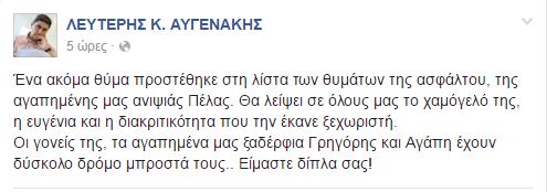 facebook-aygenakis