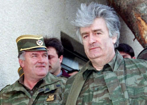 karadzic_498_355