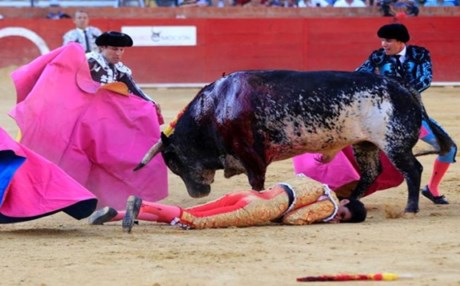 spain-bullfighting_b2