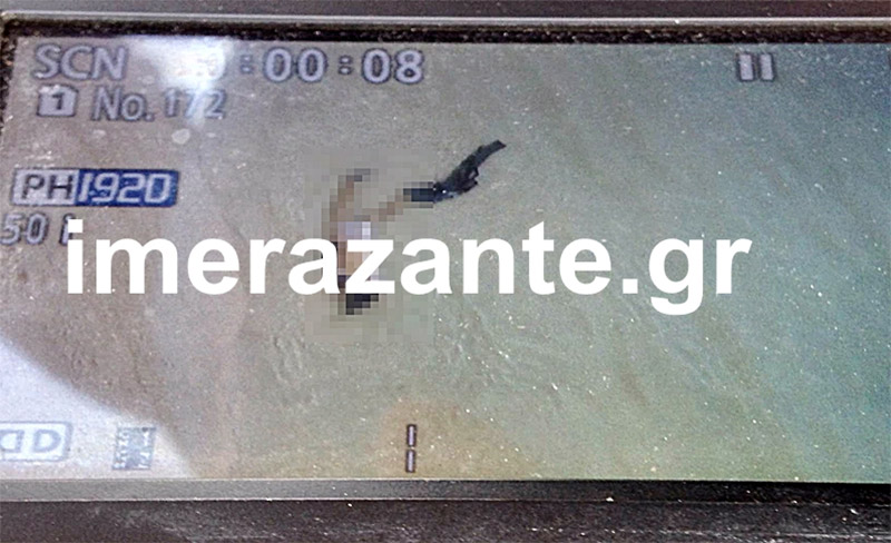 imerazante-004