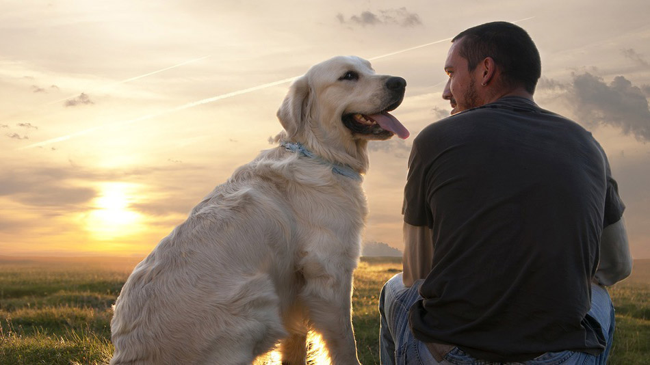 man-dogs-best-friend