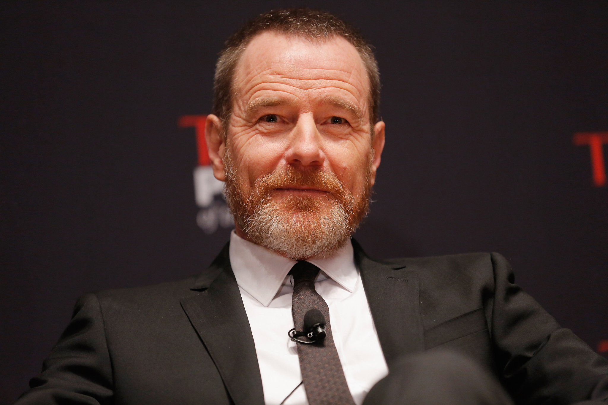 NEW YORK, NY - NOVEMBER 13:  Bryan Cranston attends TIME's Person of the Year panel on November 13, 2012 in New York City.  (Photo by Jemal Countess/Getty Images for TIME)