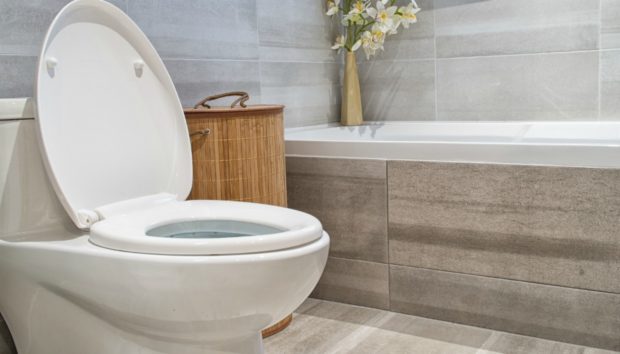 thehomeissue_toilet-620x354