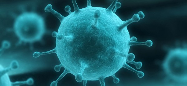 Influenza_virus_2008765-600x278