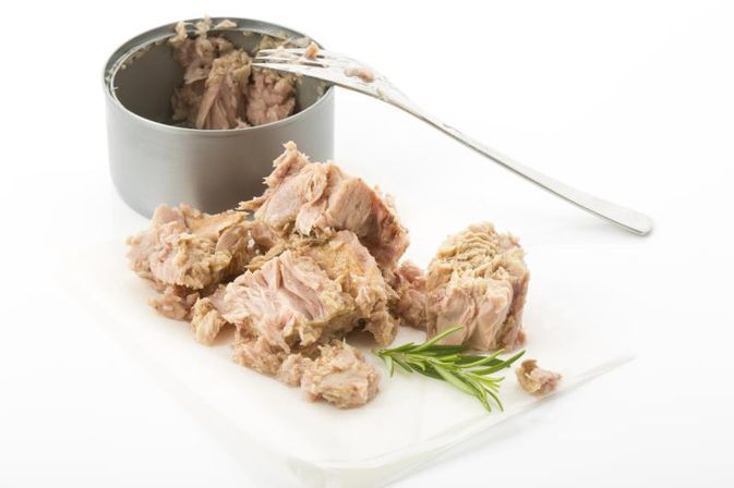 canned-tuna