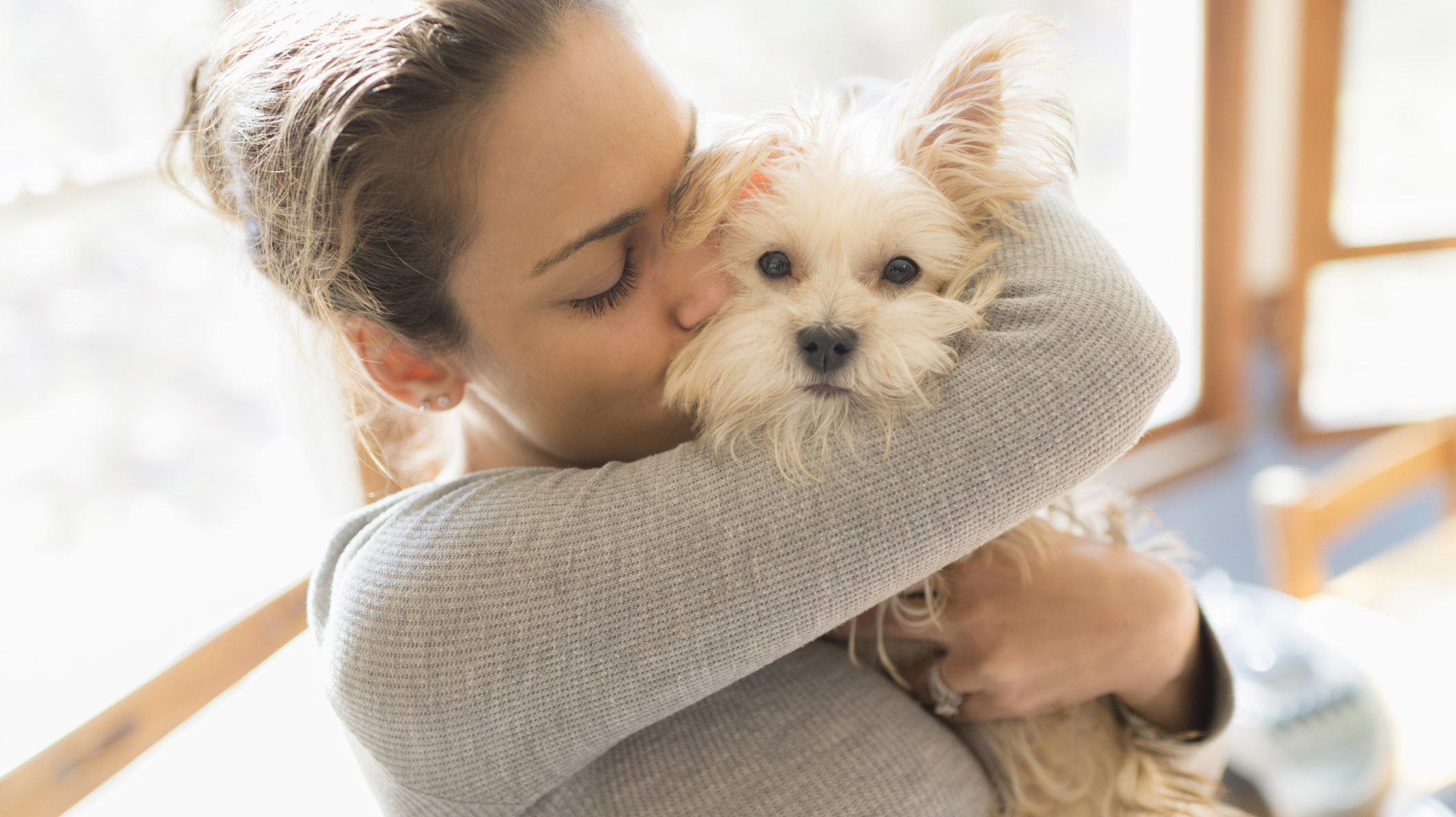 Young woman hugs Morkie breed dog