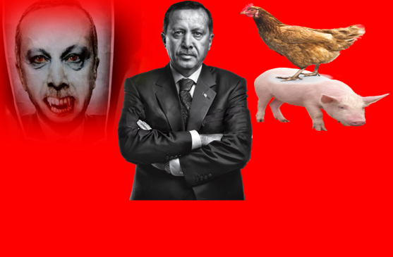 erdogan athens