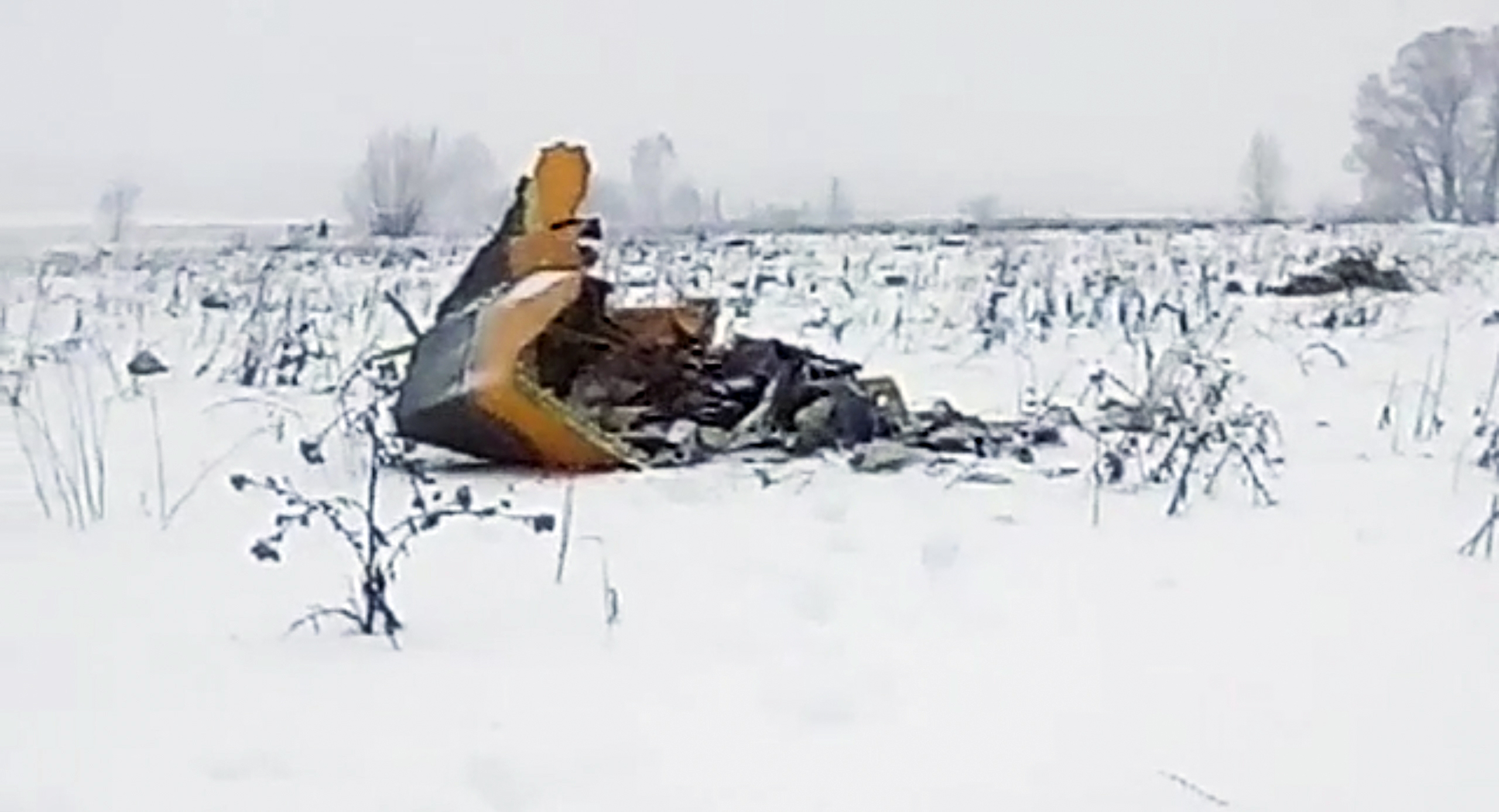 In this screen grab provided by the Life.ru, the wreckage of a AN-148 plane is seen in Stepanovskoye village, about 40 kilometers (25 miles) from the Domodedovo airport, Russia, Sunday, Feb. 11, 2018. Russia's Emergencies Ministry says a passenger plane has crashed near Moscow and fragments of it have been found. (Life.ru via AP)