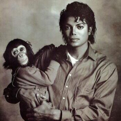 michael_jackson_bubbles-480x480