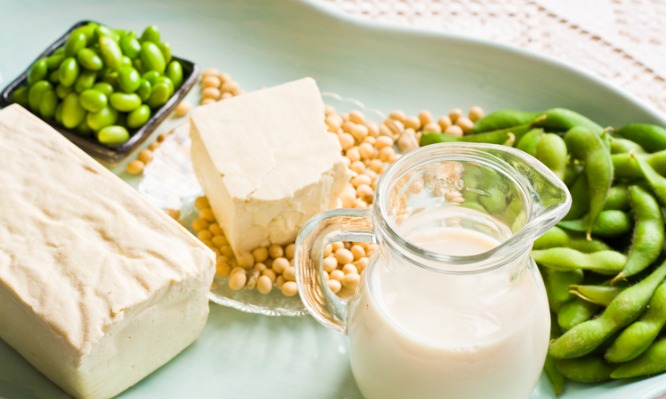 soy-milk-and-soybean-products-arranged-on-an-aqua-tray-picture-id182890739