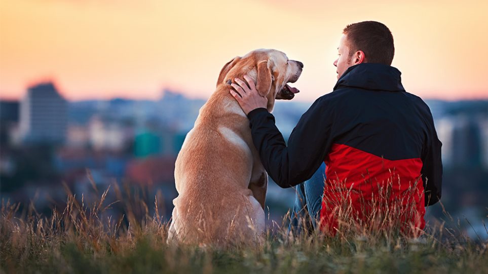 First-Time-Dog-Owner