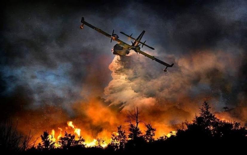 fire_fotia_canadair