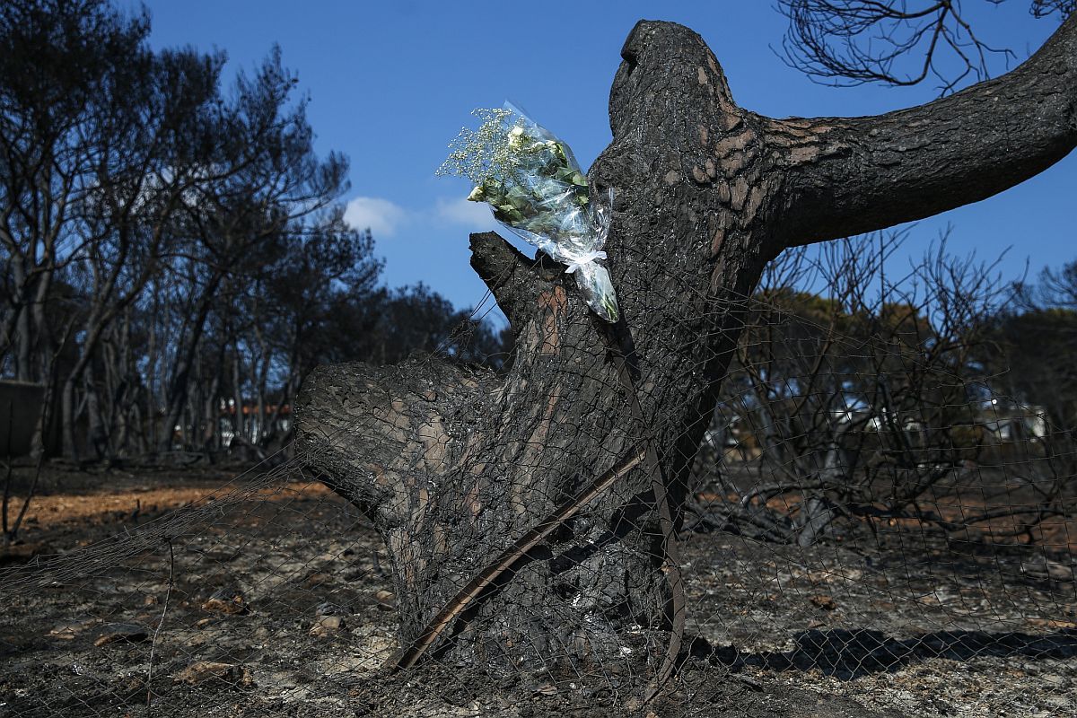 A week after the wildfire in Mati, east Attica, Greece on July 30, 2018. / Μια βδομάδα μετά την καταστροφική πυρκαγιά στο Μάτι, ανατολική Αττική, 30 Ιουλίου 2018.