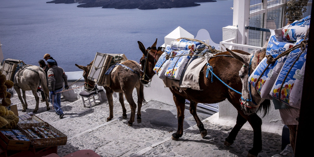 gaidourakia-santorini-500