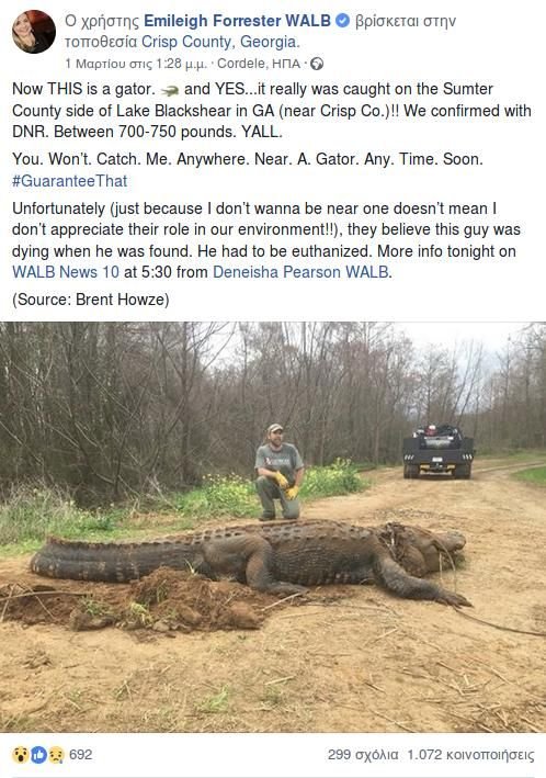 gator-facebook