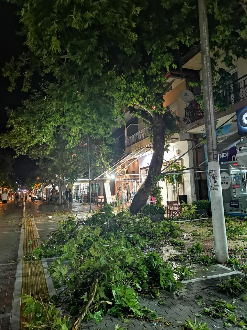 FOTO-XALKIDIKI-NEKROI