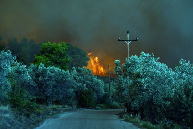 Φλόγες αναπηδούν πίσω από τα δένδρα στην πυρκαγιά που ξέσπασε στο Κοντοδεσπότι στο Δήμο Διρφύων – Μεσσαπίων Εύβοιας, κοντά στα Ψαχνά σε πυκνή δασική έκταση σε δύσβατο σημείο, την Κυριακή 12 Αυγούστου 2018. Εκκενώθηκαν προληπτικά τα χωριά Κοντοδεσπότι και Σταυρός. Έκλεισε προληπτικά για λόγους ασφαλείας η κυκλοφορία στο δρόμο από τη Χαλκίδα προς τη Βόρεια Εύβοια, καθώς σύμφωνα με την Αστυνομική Διεύθυνση Εύβοιας η φωτιά πλησιάζει προς τον επαρχιακό δρόμο ο οποίος έχει καλυφθεί με πολλούς καπνούς. Σύμφωνα με την Πυροσβεστική, για την κατάσβεση επιχειρούν 62 πυροσβέστες με 28 οχήματα, 4 αεροσκάφη, 4 ελικόπτερα και 2 Πετζετέλ (Pezetel). ΑΠΕ ΜΠΕ/ΑΠΕ ΜΠΕ/ΒΑΣΙΛΗΣ ΑΣΒΕΣΤΟΠΟΥΛΟΣ