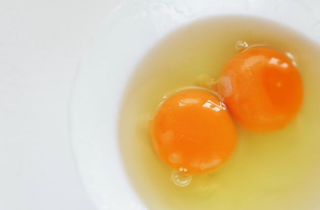 egg-yolk