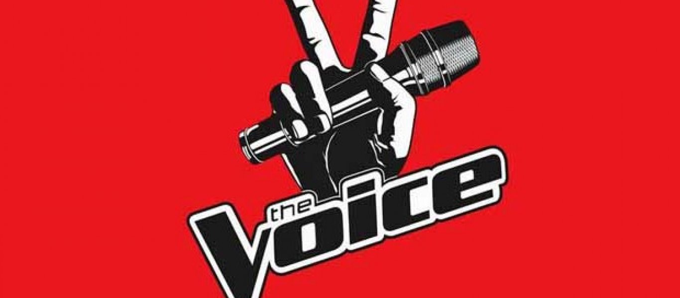 voice-logo