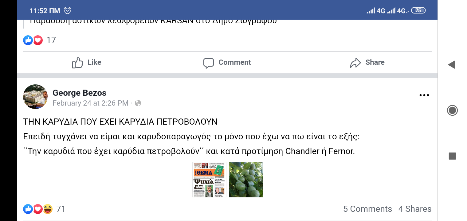 Την καρυδιά που έχει καρύδια πετροβολούν για Πολάκη