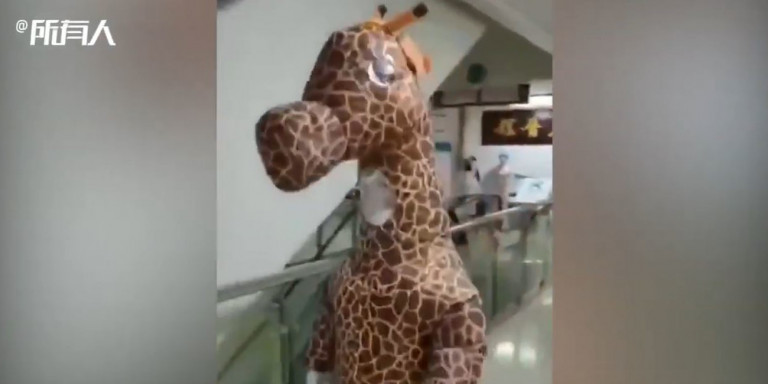 China-coronavirus-giraffe-costume