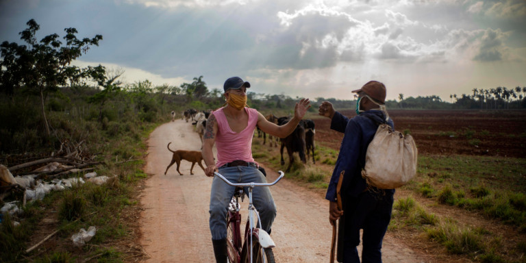 cuba-podilatis-maska-agrotis