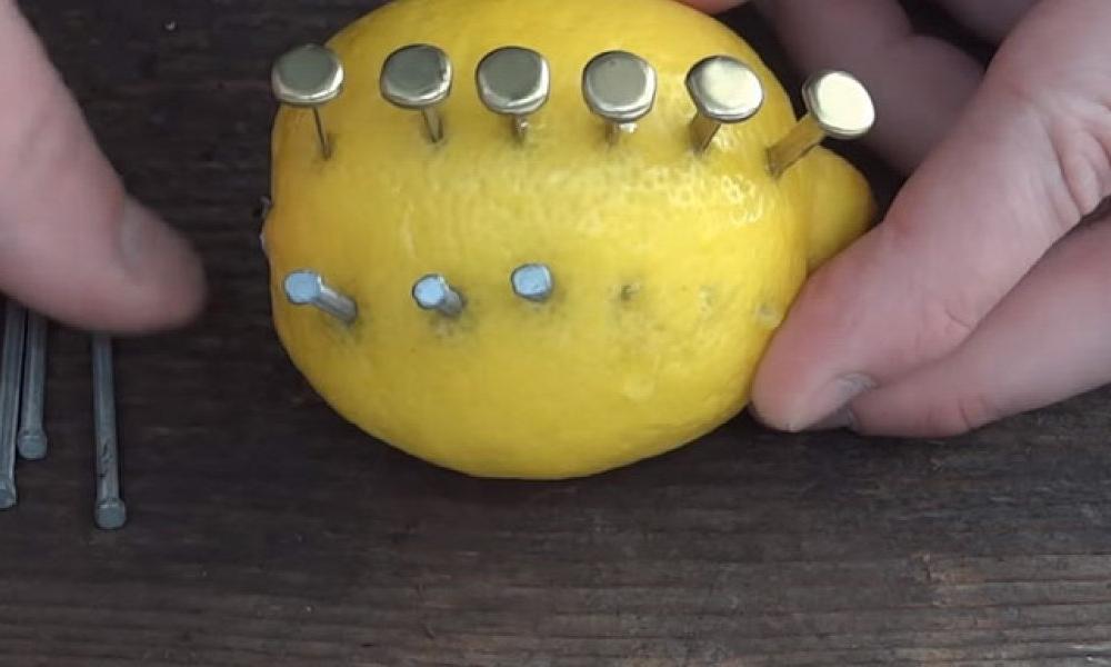 how-to-make-fire-with-lemon-north-survival-7