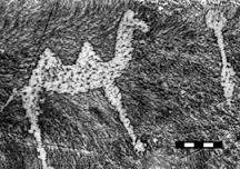 camel-petroglyph-2