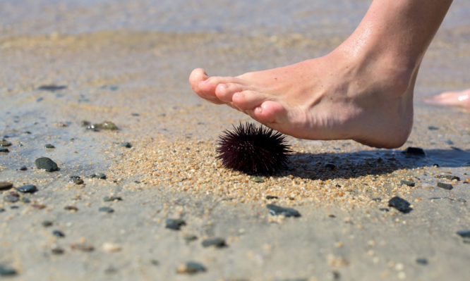 Barefood human leg on sea