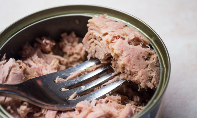 Some canned tuna, a very healthy addition to any diet. A fork is being used to pick up some tuna chunks.