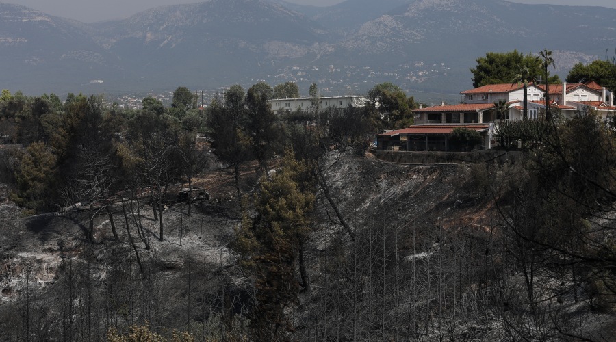 Πυρκαγιά στην Βαρυμπόπη, επόμενη ημέρα, Τετάρτη 4 Αυγούστου 2021
(EUROKINISSI/ΣΩΤΗΡΗΣ ΔΗΜΗΤΡΟΠΟΥΛΟΣ)