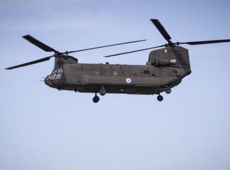 chinook