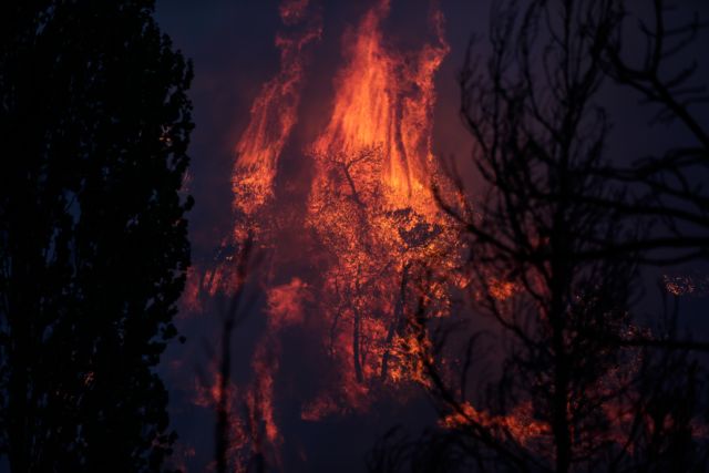 An aerial picture shows the smoke rising from a forest fire in suburbs of Athens, Attica in Greece on August 3, 2021.