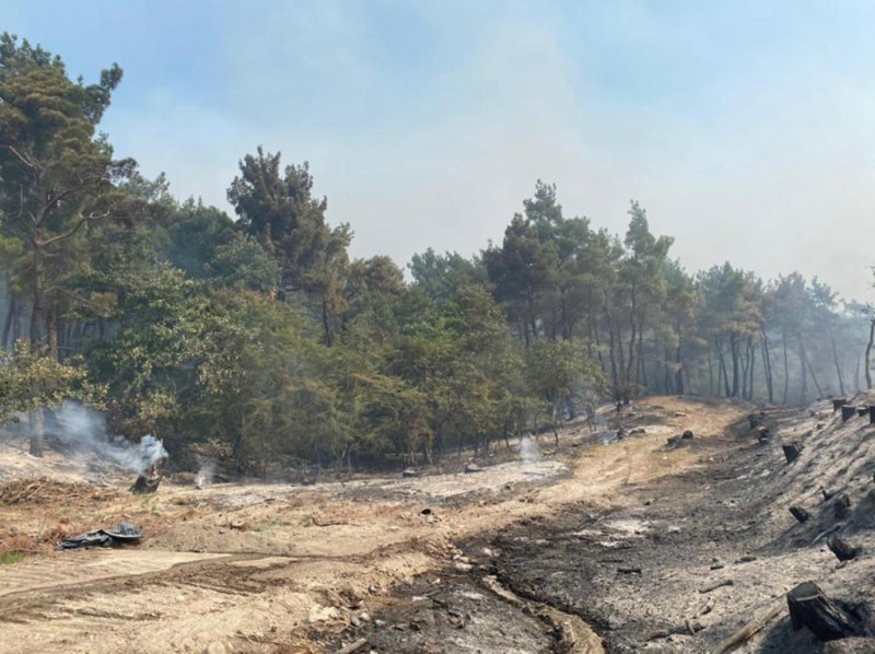 Στην περιοχή της Δαδιάς Έβρου μετέβη την Κυριακή 24 Ιουλίου 2022, ο Υπουργός Κλιματικής Κρίσης και Πολιτικής Προστασίας, Χρήστος Στυλιανίδης, μαζί με τον Υφυπουργό Περιβάλλοντος, Γιώργο Αμυρά, για την εκτίμηση της κατάστασης που έχει διαμορφωθεί εξαιτίας της μεγάλης πυρκαγιάς που βρίσκεται σε εξέλιξη στην περιοχή, καθώς και για τον καλύτερο συντονισμό με όλους τους τοπικούς φορείς. Στο κυβερνητικό κλιμάκιο μετείχαν, ακόμη, ο Γενικός Γραμματέας Πολιτικής Προστασίας, Βασίλης Παπαγεωργίου, ο Γενικός Διευθυντής Συντονισμού της ΓΓΠΠ, Φοίβος Θεοδώρου, ο Γενικός Διευθυντής Δασών και Δασικού Περιβάλλοντος του Υπουργείου Περιβάλλοντος, Ευάγγελος Γκουντούφας, καθώς και επιτελικά στελέχη του Πυροσβεστικού Σώματος.
(ΥΠ. ΚΛΙΜΑΤΙΚΗΣ ΚΡΙΣΗΣ ΚΑΙ ΠΟΛΙΤΙΚΗΣ ΠΡΟΣΤΑΣΙΑΣ/EUROKINISSI)