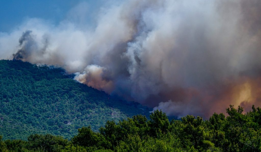 fotia-lesvos-eurokinissi-24-07-2022-1024x597