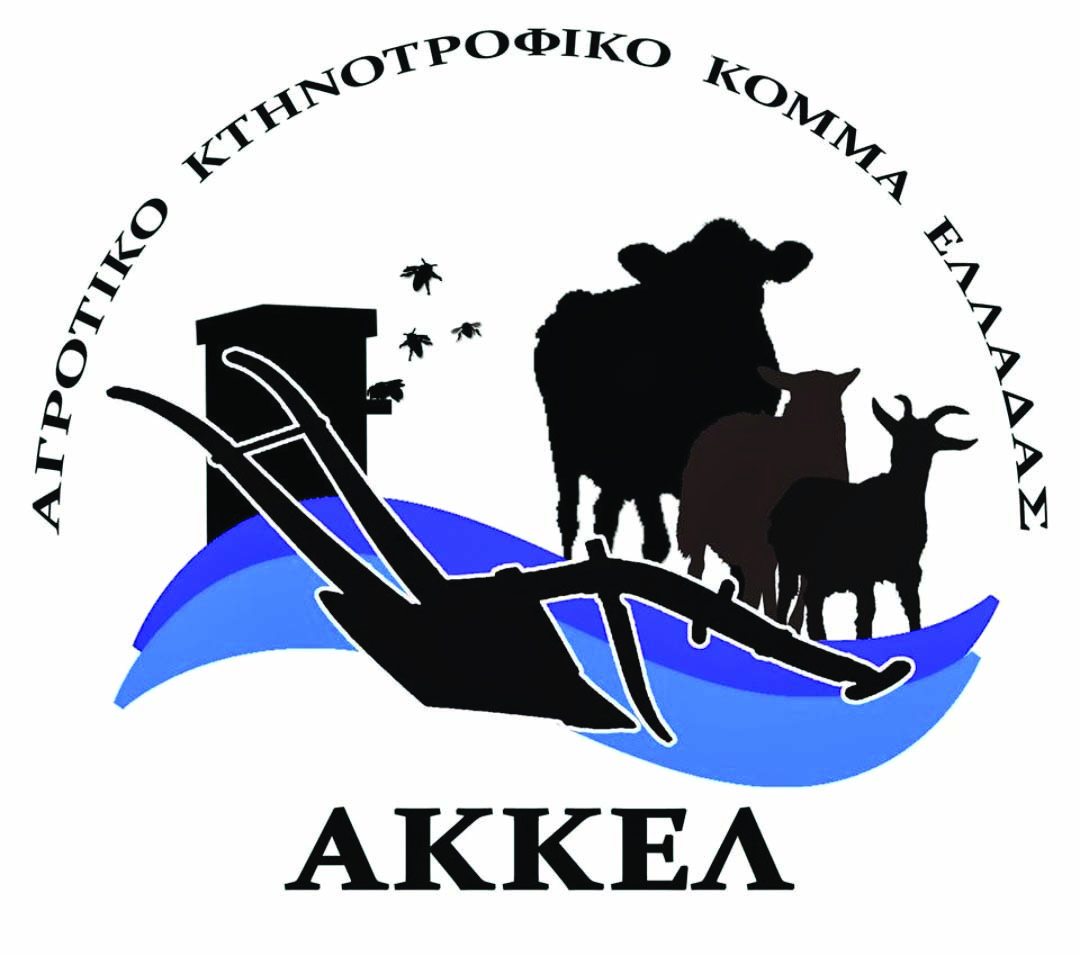 akkel (2)