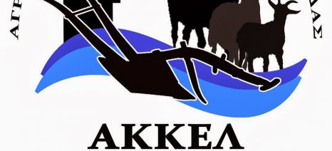 akkel_logo