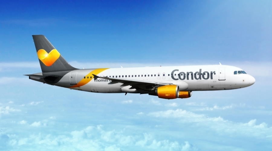 condor