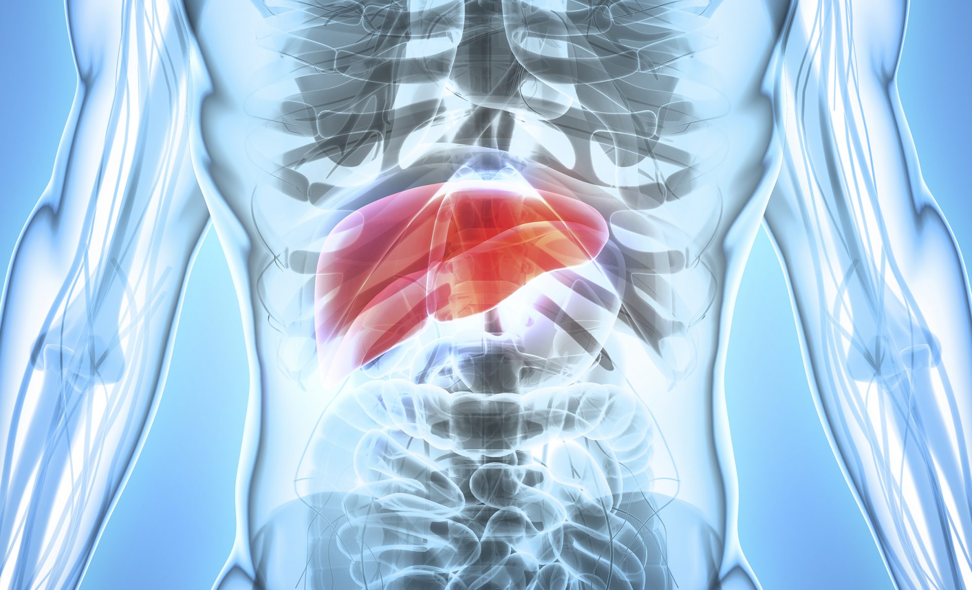 Liver-AdSt_139481127-1920x1166-1