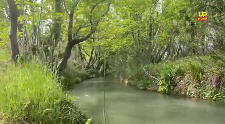 Νέα εικόνα