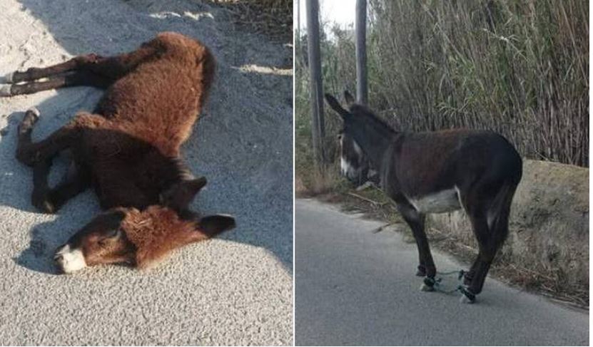 Καταγραφή