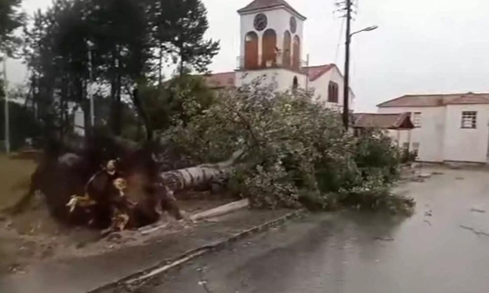 κοζαννν