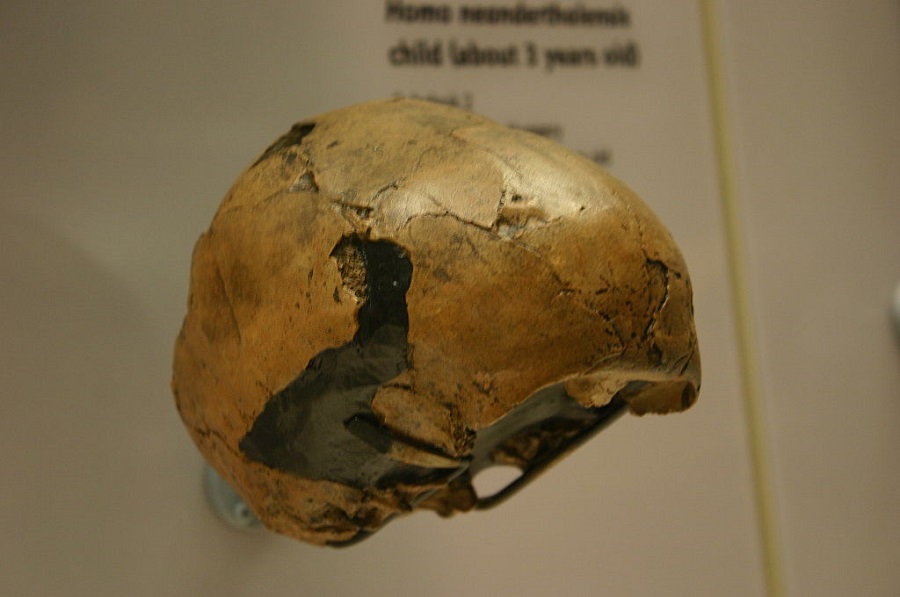 Subalyuk_2.Homo_neanderthalensis_child