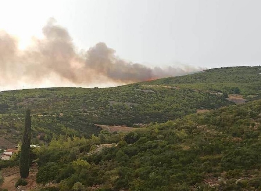 ΓΡΑΜΜΑΤΙΚΟ