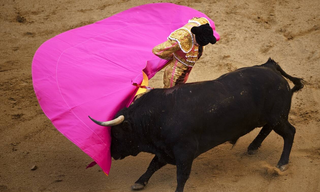 bullfights