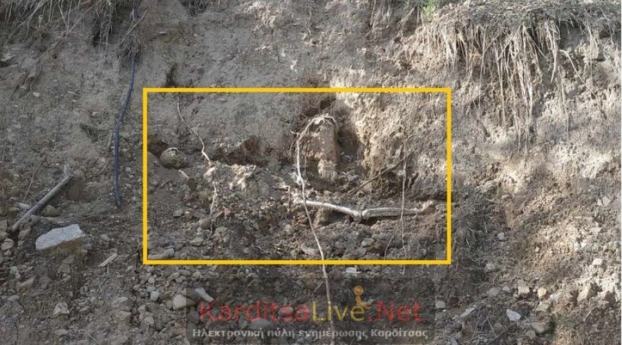 karditsa-skeleton
