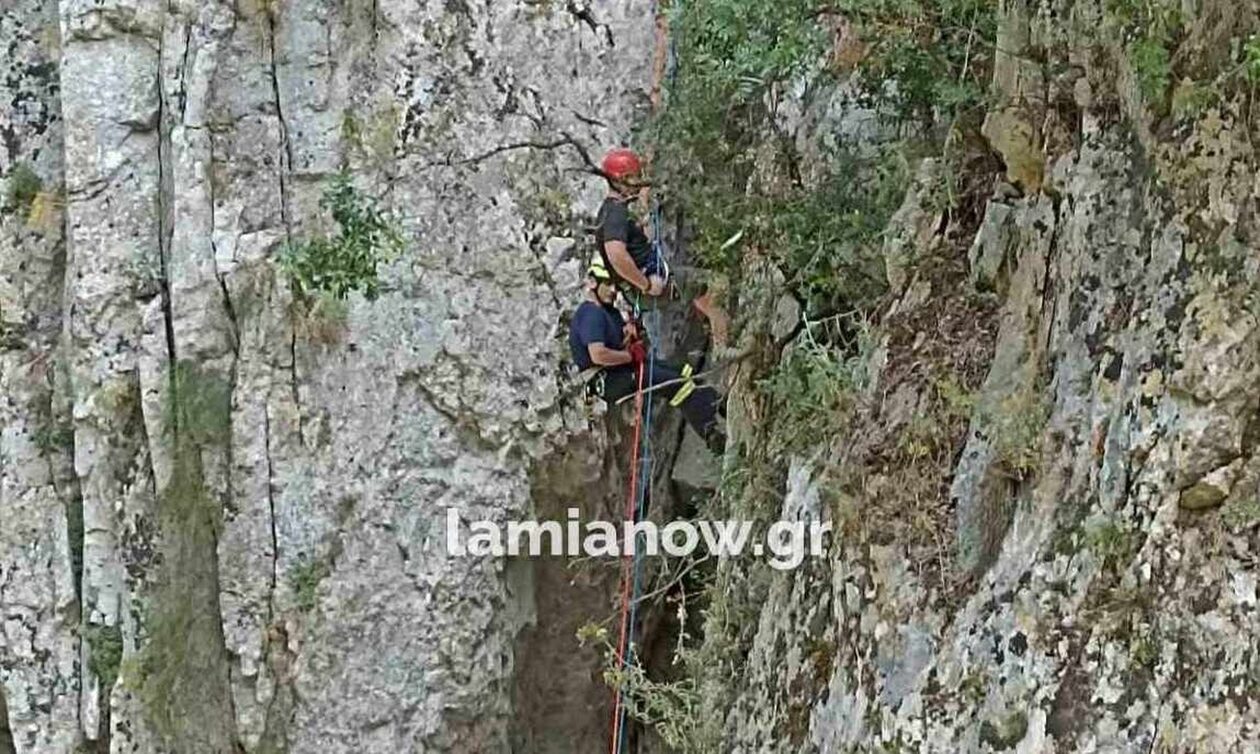 ζευγαρι