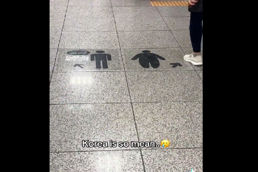 KOREA-fat-metro-viral